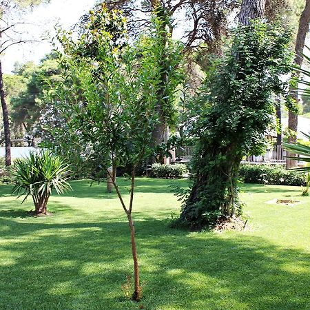 Il Melograno B&B Castellaneta Marina Luaran gambar