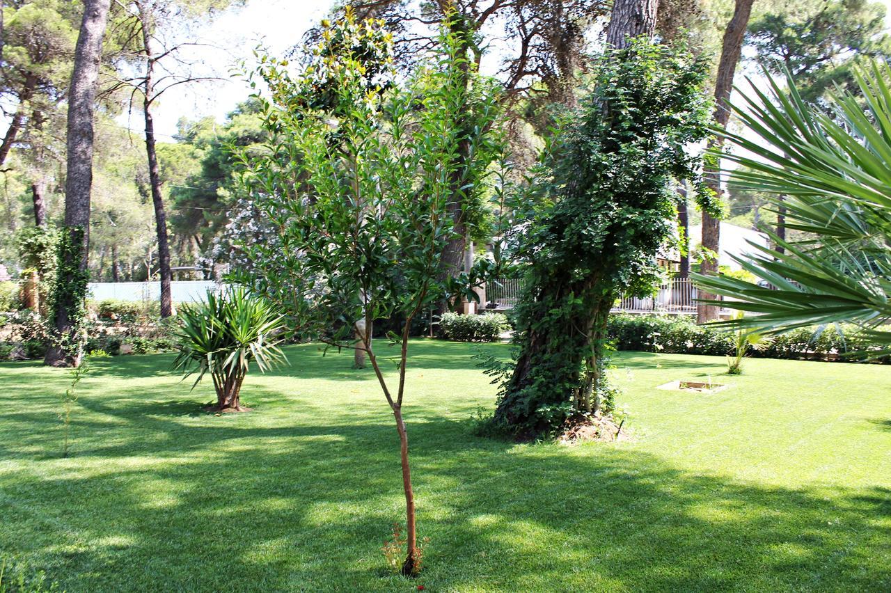 Il Melograno B&B Castellaneta Marina Luaran gambar